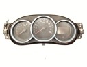 CUADRO INSTRUMENTOS 248102721R 