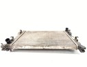 RADIADOR AGUA 214100078R 