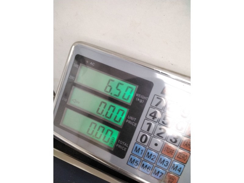 Recambio de disco freno delantero para nissan serena (c23m) referencia OEM IAM 402069C100  