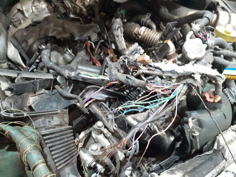 infiniti ex del año 2010