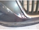PARAGOLPES DELANTERO 
