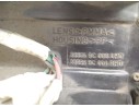 PILOTO TRASERO DERECHO 265559C001 