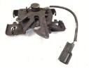 CERRADURA CAPOT 656016673R 
