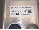 CENTRALITA ADBLUE 296102U230 