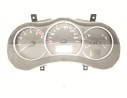 CUADRO INSTRUMENTOS 248102077R 