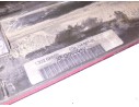LUZ CENTRAL DE FRENO XFG000040 