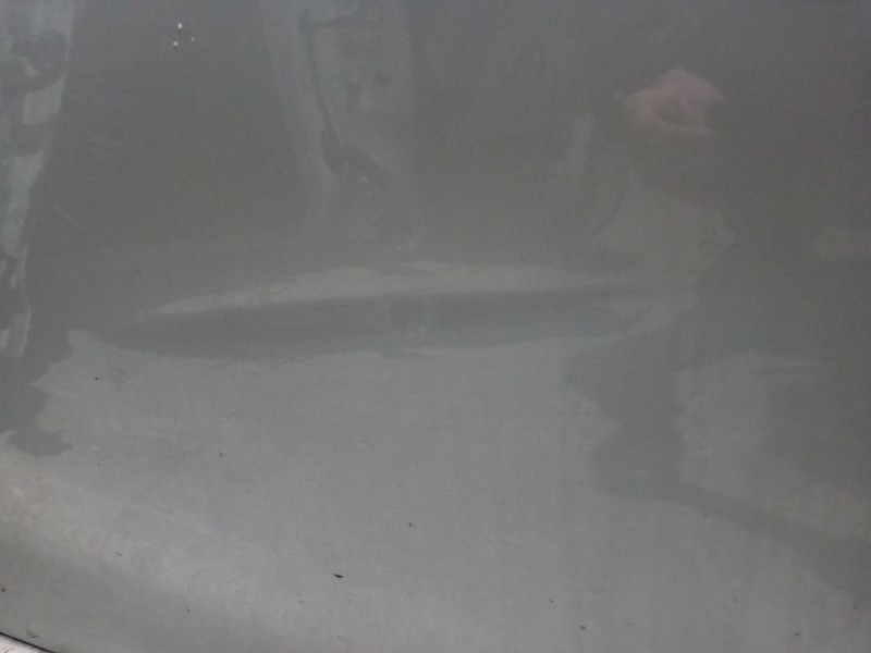 Recambio de puerta delantera derecha para renault zoe furgoneta/hatchback (bfm_) electric (bfma, bfmb) referencia OEM IAM 801004