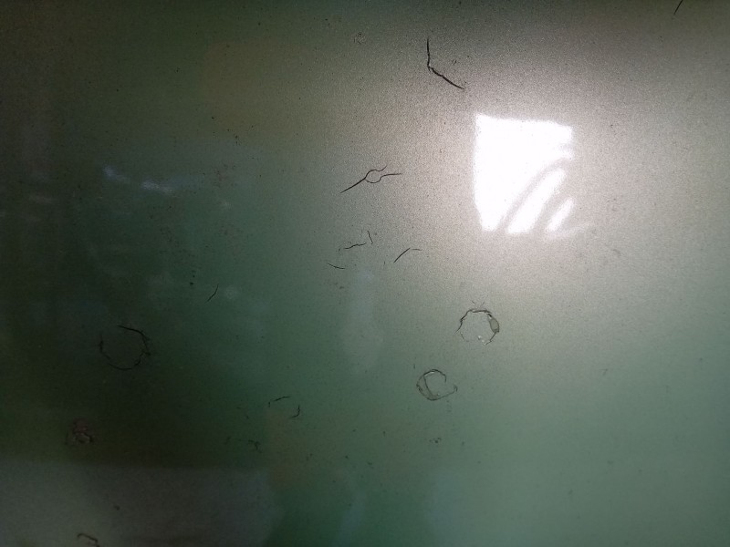 Recambio de capot para volkswagen new beetle (9c1, 1c1) 1.9 tdi referencia OEM IAM   