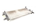 RADIADOR AGUA 214103NL1A 