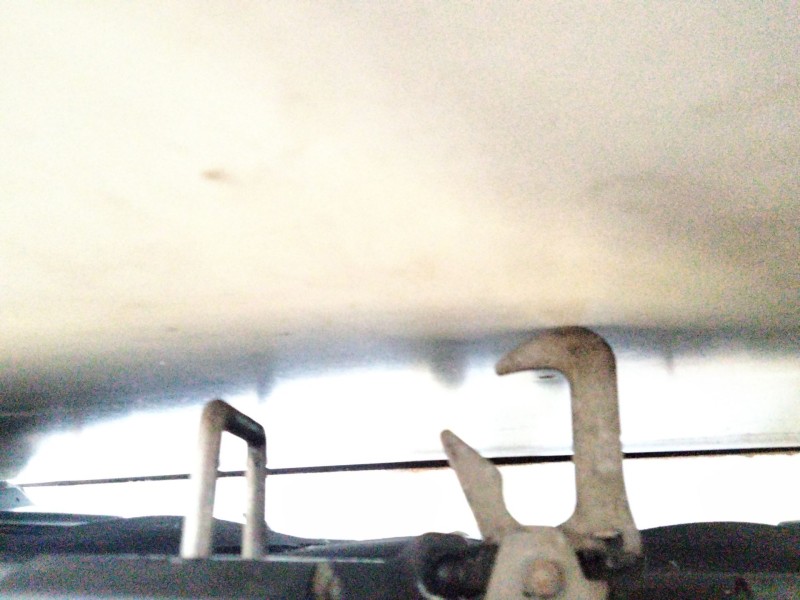 Recambio de capot para volkswagen passat b7 (362) 2.0 tdi referencia OEM IAM   