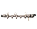 RAMPA INYECTORA 175217750R 