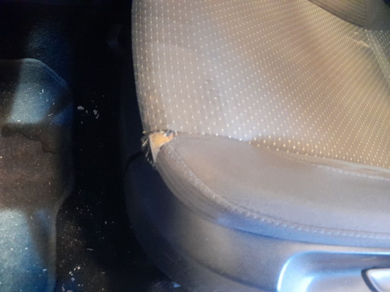 seat altea xl (5p5, 5p8) del año 2007