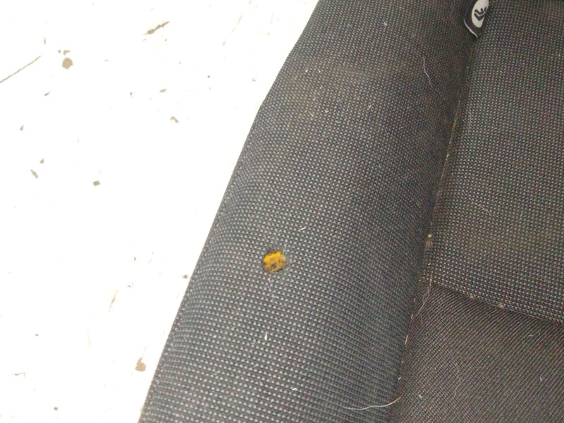 Recambio de asiento trasero derecho para ford transit connect monospace 1.6 tdci referencia OEM IAM 2434366  