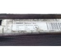 RADIADOR AGUA A0995007303 