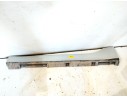 TALONERA IZQUIERDA N244-51-P50C KM 