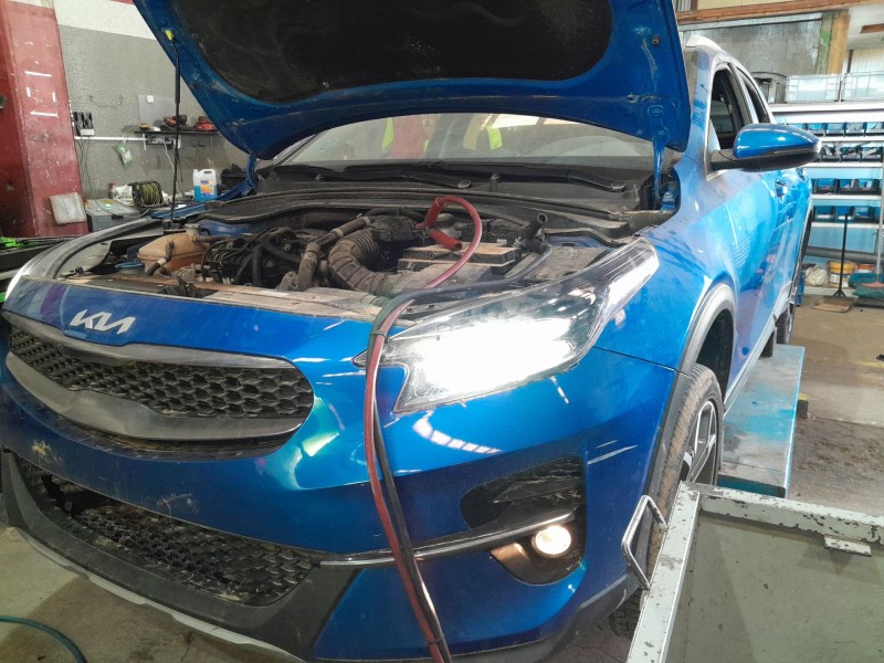 kia xceed (cd) del año 2022