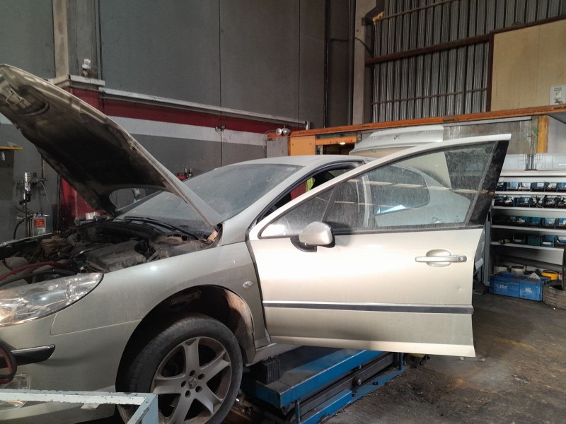peugeot 407 (6d_) del año 2007