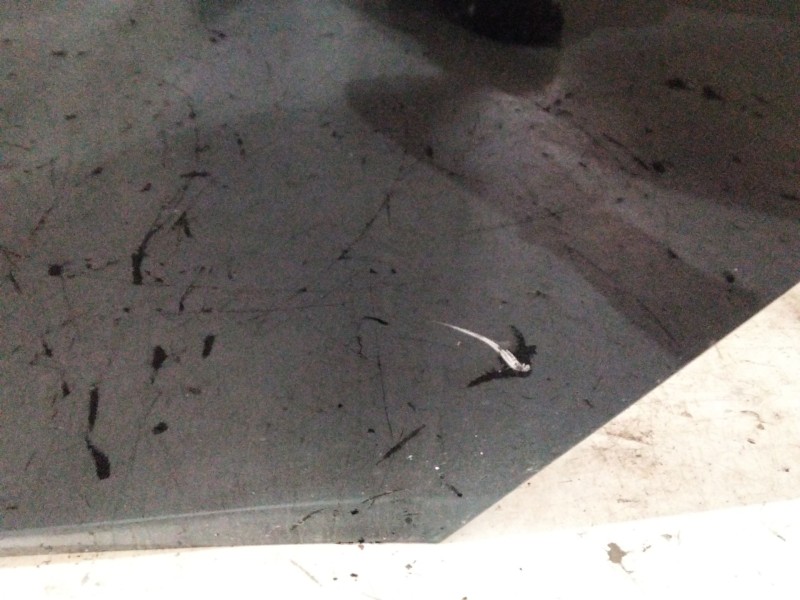 Recambio de puerta trasera izquierda para bmw 3 (f30, f80) 318 d referencia OEM IAM   