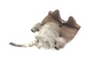 PINZA FRENO DELANTERA DERECHA AV612B294AA 