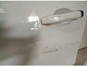 PUERTA DELANTERA IZQUIERDA 801117899R 