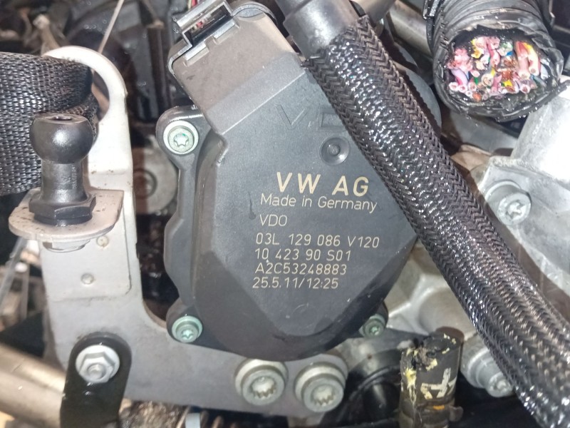 Recambio de motor completo para seat exeo st (3r5) 2.0 tdi referencia OEM IAM CAGA  