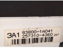 CUADRO INSTRUMENTOS 838001A041 