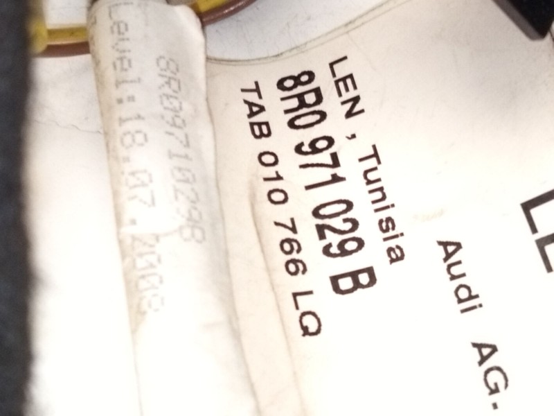 Recambio de instalacion puerta delantera izquierda para audi q5 (8rb) 2.0 tdi quattro referencia OEM IAM 8R0971029  