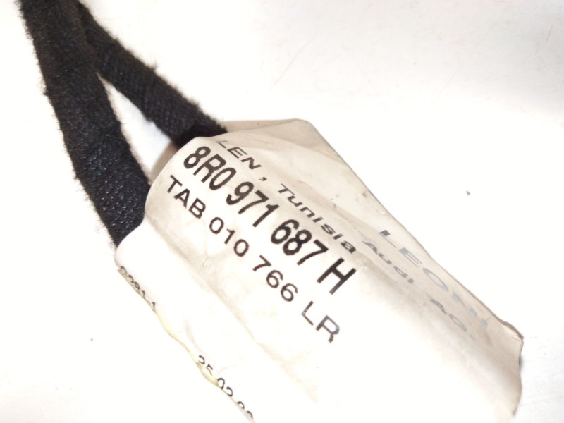 Recambio de instalacion puerta trasera derecha para audi q5 (8rb) 2.0 tdi quattro referencia OEM IAM 8R0971687  