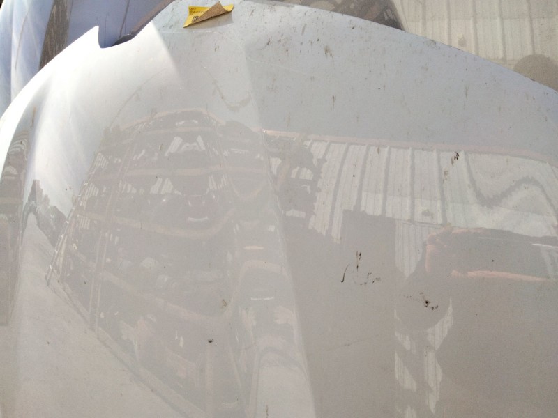 Recambio de capot para renault clio v (b7_) 1.5 blue dci 100 (b7ad) referencia OEM IAM   