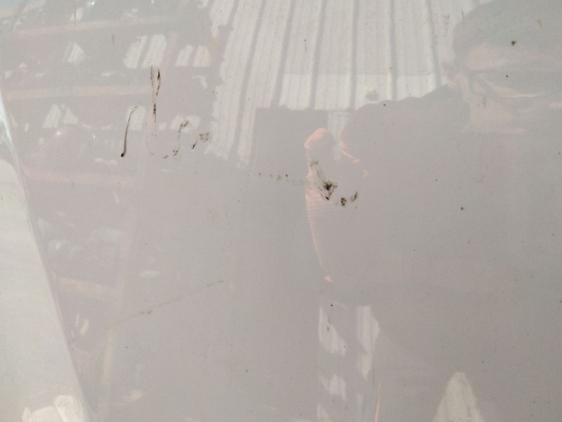 Recambio de capot para renault clio v (b7_) 1.5 blue dci 100 (b7ad) referencia OEM IAM   