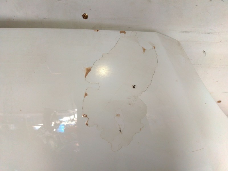 Recambio de capot para ford focus ii (da_, hcp, dp) 1.8 tdci referencia OEM IAM   