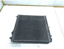 RADIADOR AGUA 870960000 