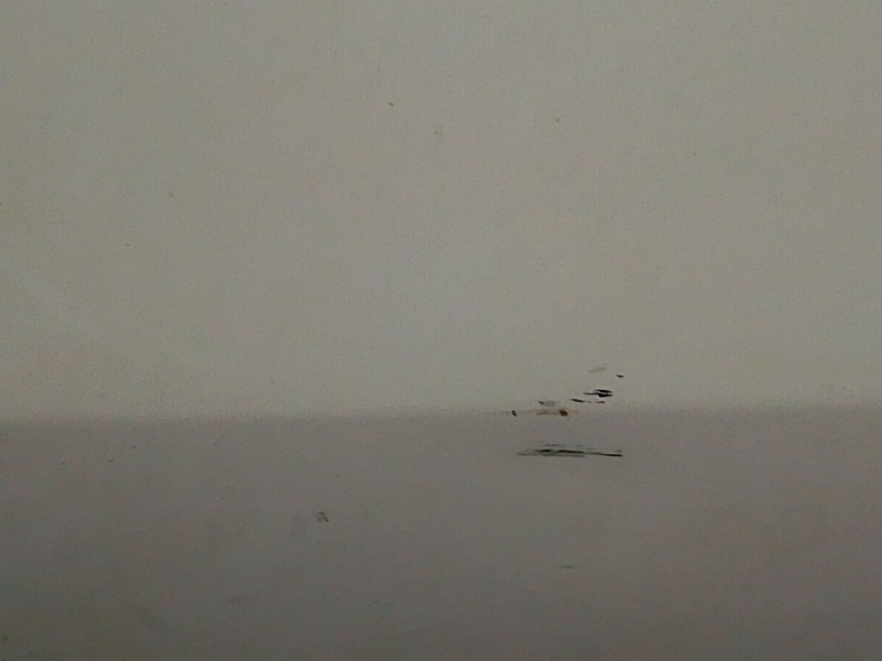 Recambio de puerta trasera izquierda para mercedes-benz gla (h247) gla 200 (247.787) referencia OEM IAM   