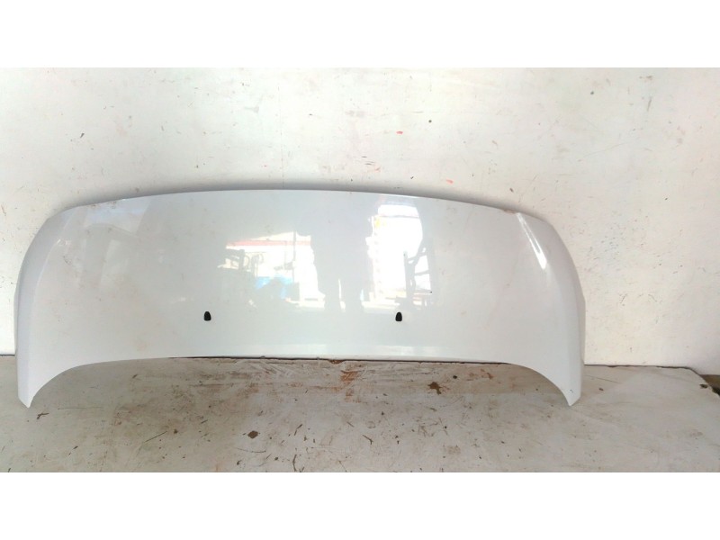 Recambio de capot para opel vivaro c furgoneta (k0) 1.5 referencia OEM IAM   