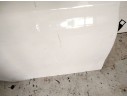 PUERTA TRASERA DERECHA 41009628766 