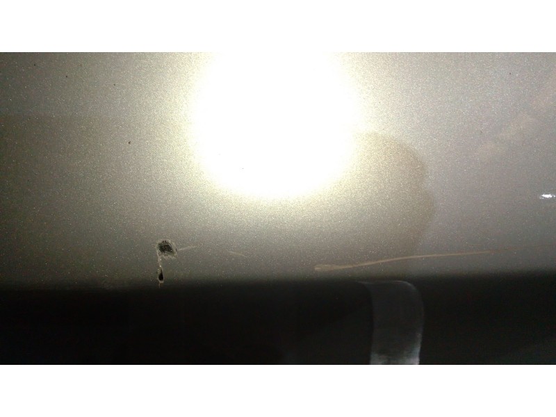 Recambio de puerta delantera izquierda para bmw x6 (e71, e72) xdrive 40 d referencia OEM IAM   