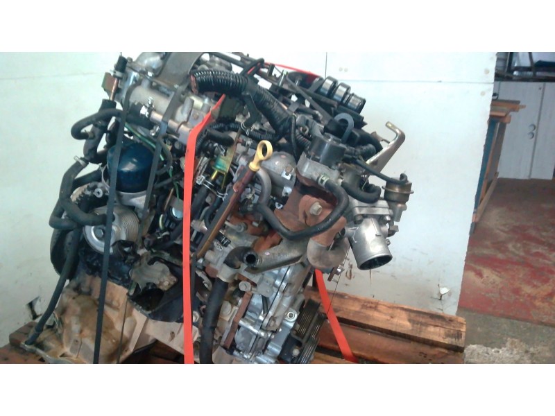Recambio de motor completo para nissan pathfinder iii (r51) 2.5 dci referencia OEM IAM   