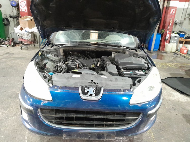 peugeot 407 (6d_) del año 2004