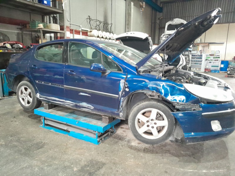 peugeot 407 (6d_) del año 2004