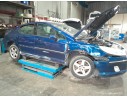 PEUGEOT 407 (6D_)