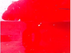 Recambio de puerta trasera derecha para opel insignia b grand sport (z18) 1.5 (68) referencia OEM IAM    2