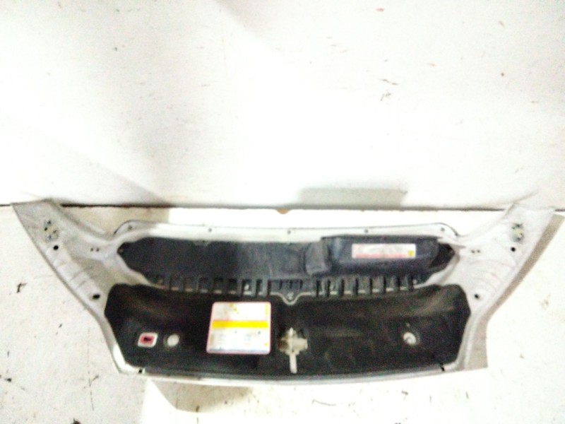 Recambio de capot para fiat ducato caja/chasis (250_) 160 multijet 2,3 d referencia OEM IAM   