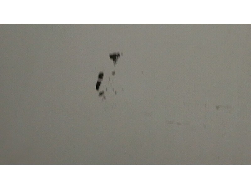 Recambio de puerta delantera derecha para ford kuga i 2.0 tdci referencia OEM IAM   