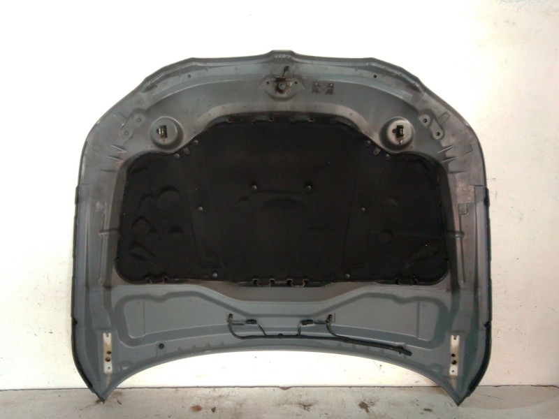 Recambio de capot para bmw 5 (e60) 525 d referencia OEM IAM   