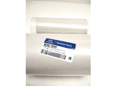 Recambio de varios para hyundai tucson (jm) 2.0 crdi a las 4 ruedas referencia OEM IAM 86362 2S000 CINTA MARCO PUERTA DEL. IZ.  2