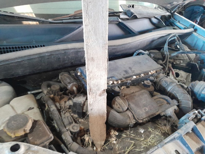 ford fusion (ju_) del año 2025