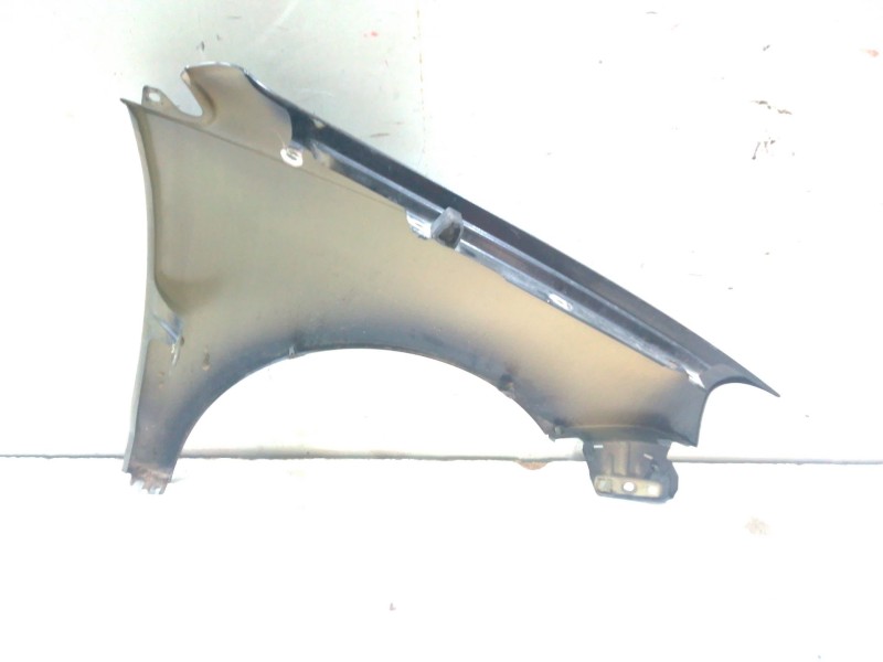 Recambio de aleta delantera izquierda para volkswagen polo iv (9n_, 9a_) 1.4 16v referencia OEM IAM   