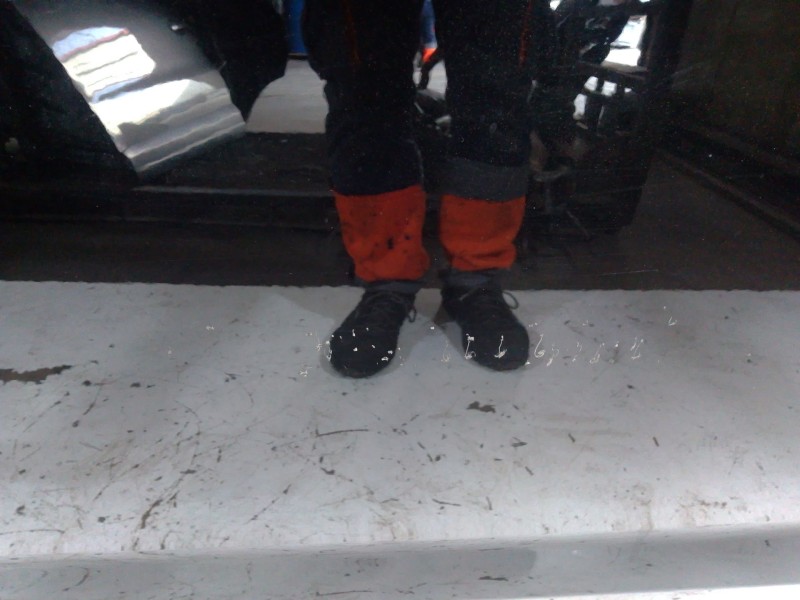 Recambio de puerta delantera izquierda para land rover range rover evoque (l538) 2.0 d referencia OEM IAM BJ32F20221A  