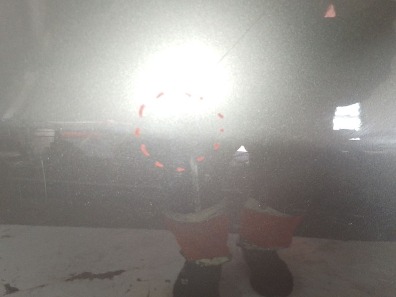 Recambio de puerta trasera derecha para volkswagen tiguan (5n_) 2.0 tdi 4motion referencia OEM IAM 5N0833312B  