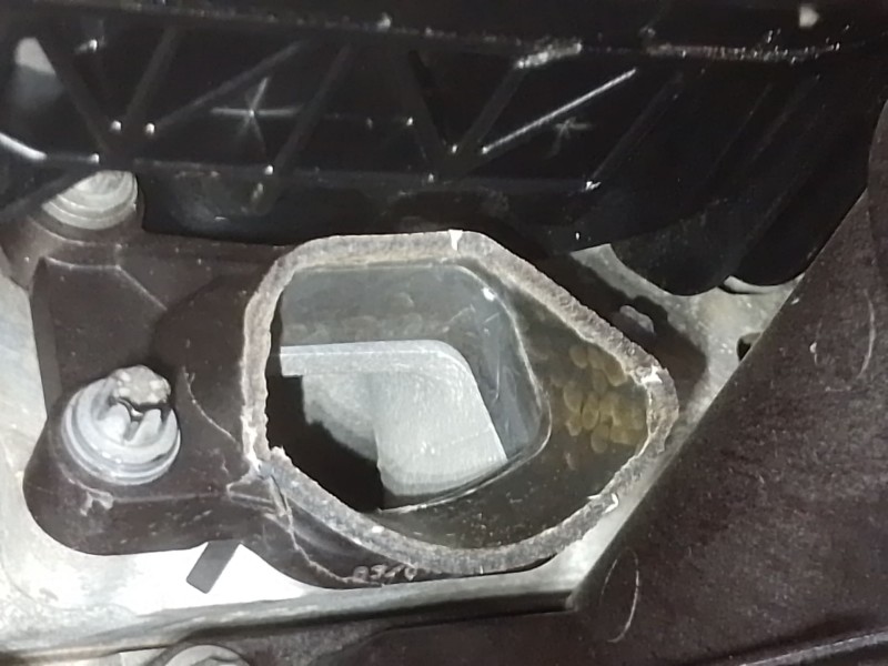 Recambio de motor completo para bmw x5 (f15, f85) xdrive 40e referencia OEM IAM N57D30A  